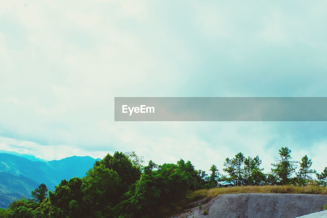 TREES AND MOUNTAIN AGAINST SKY