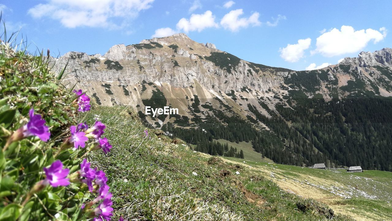 SCENIC VIEW OF MOUNTAINS AGAINST SKY DURING RAINY SEASON