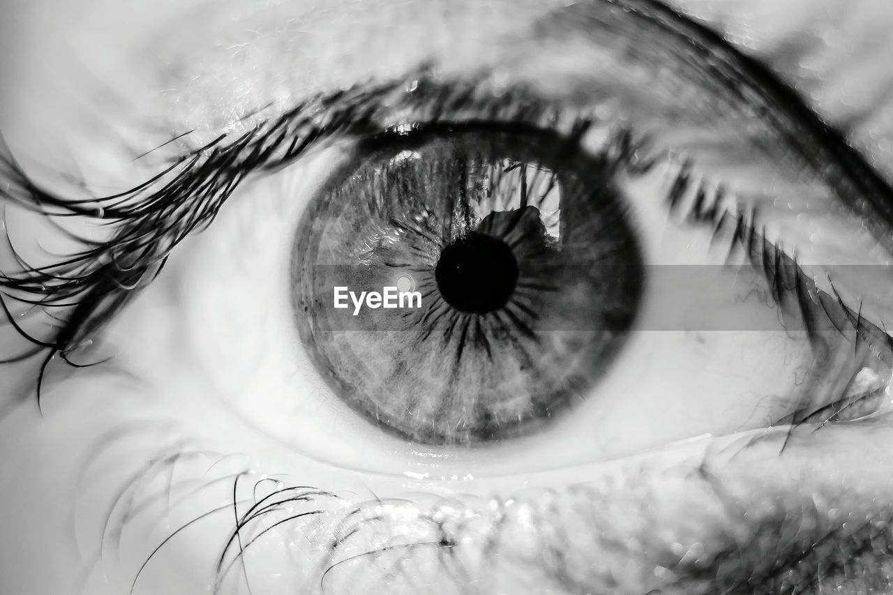 CLOSE-UP PORTRAIT OF PERSON EYE