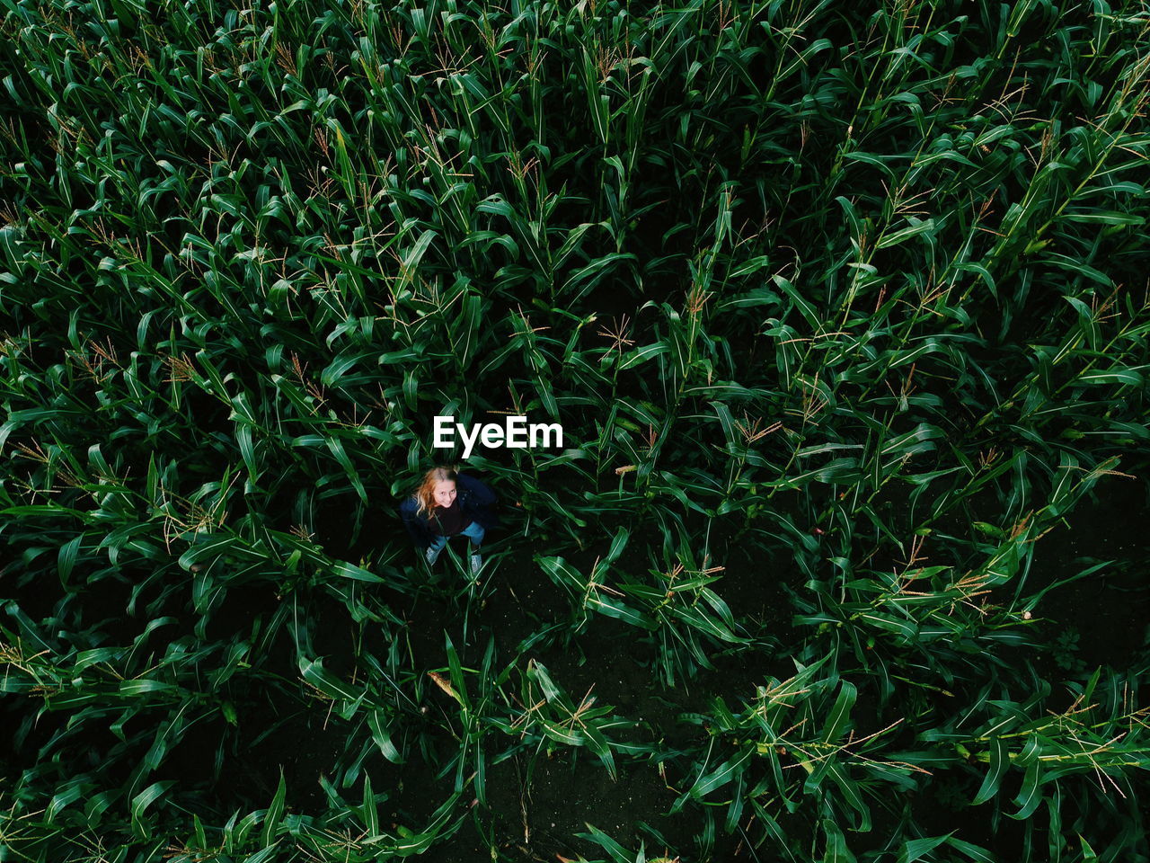 High angle view of woman amidst plants on field