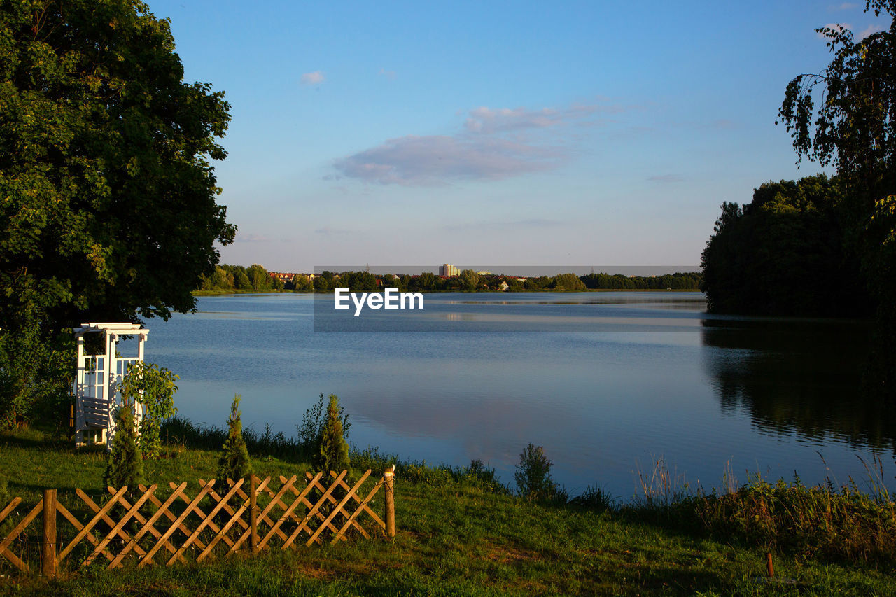 PLANTS BY LAKE AGAINST SKY