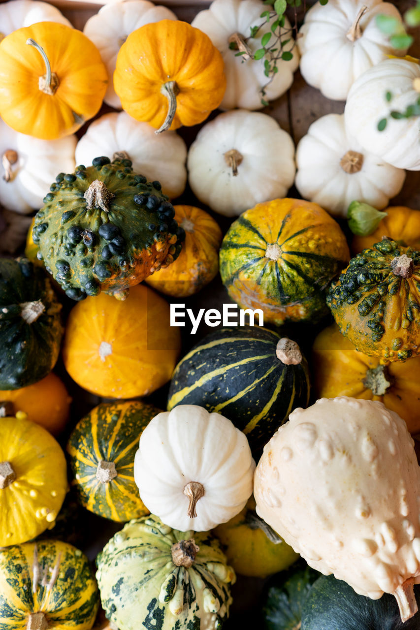 Full frame shot of pumpkins for sale