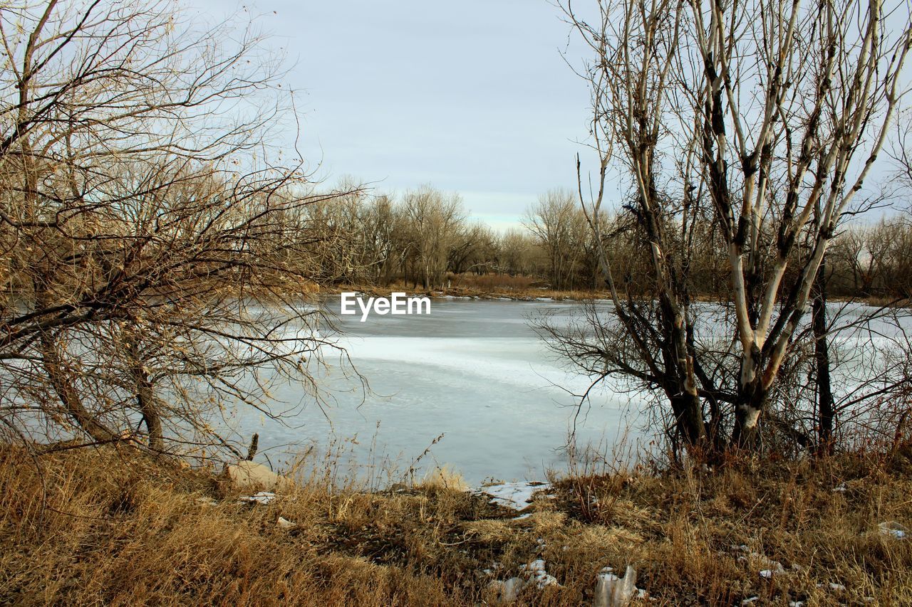 BARE TREES BY LAKE AGAINST SKY