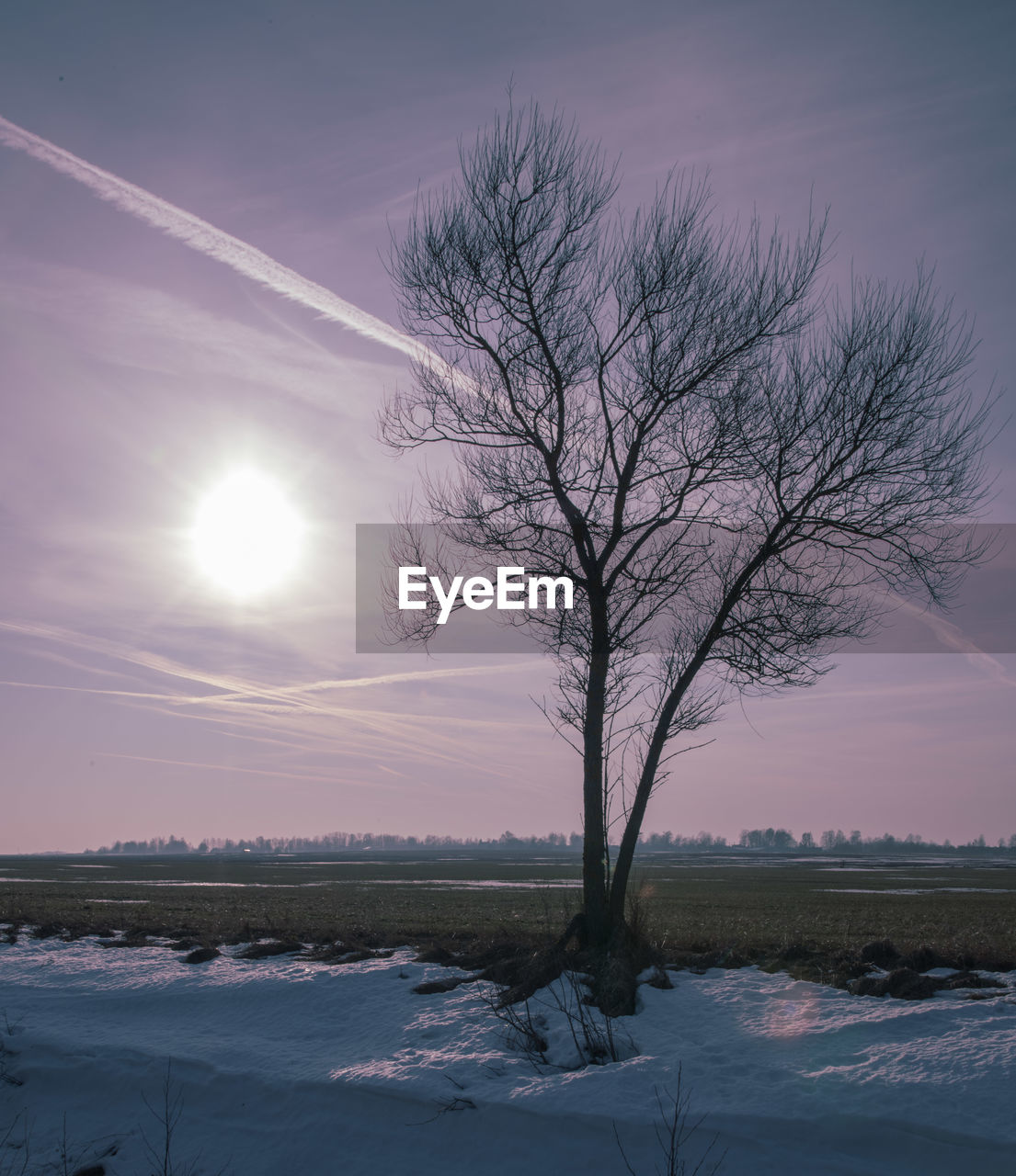 Bare tree on snow covered field against sky at sunset