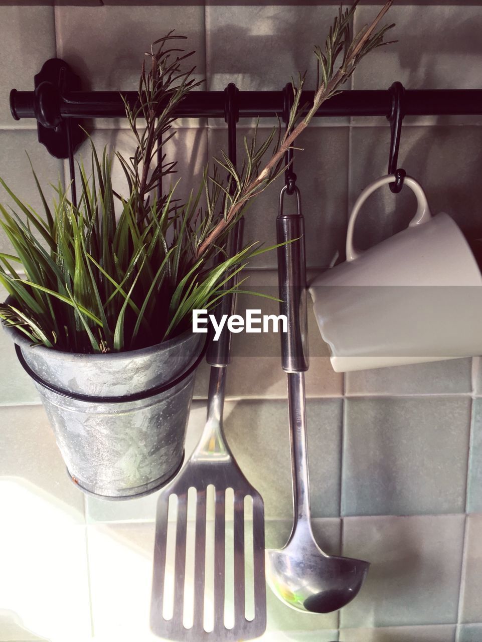 Potted plant and utensils on rod against wall in kitchen at home