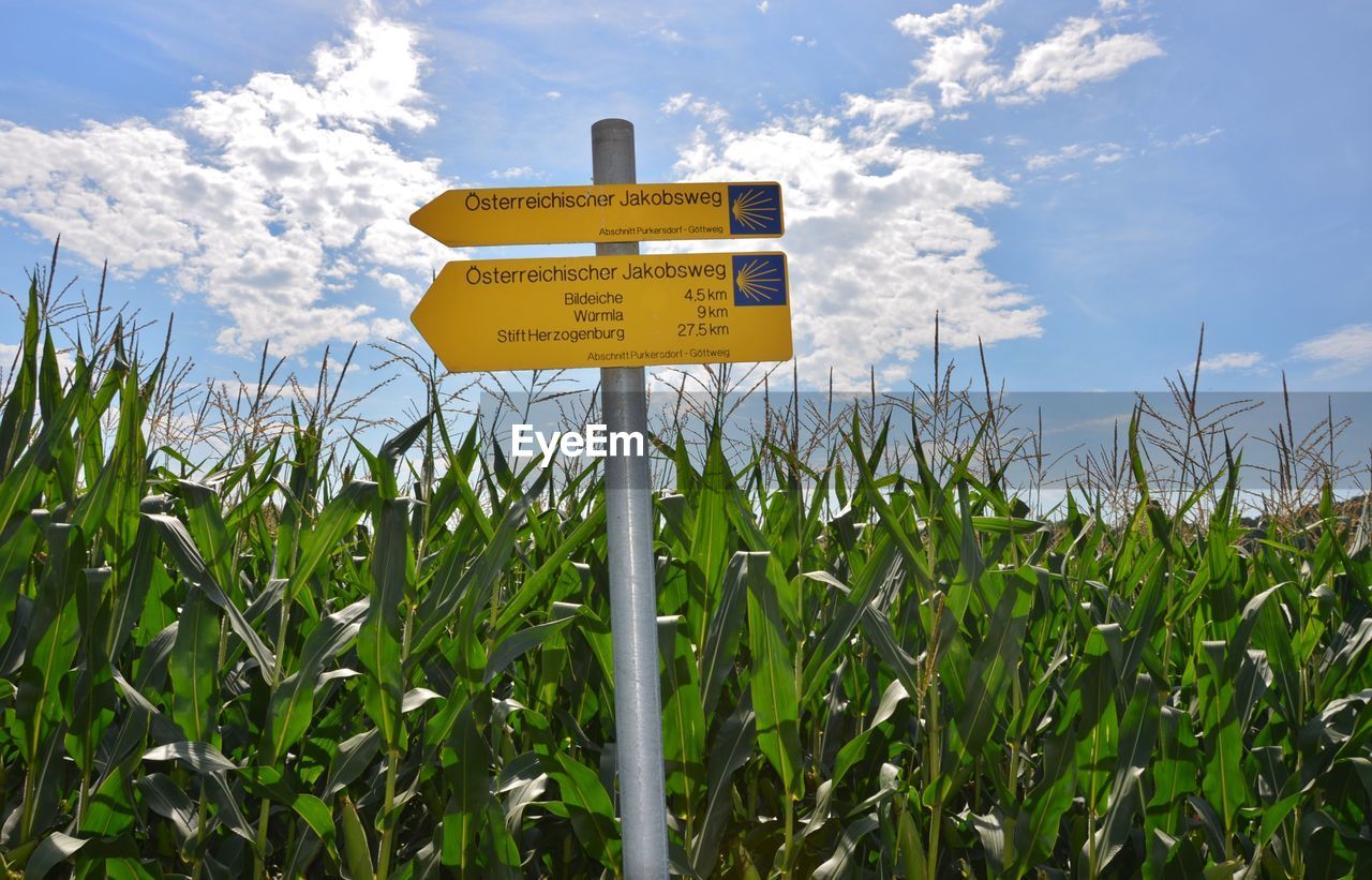 ROAD SIGN ON FIELD