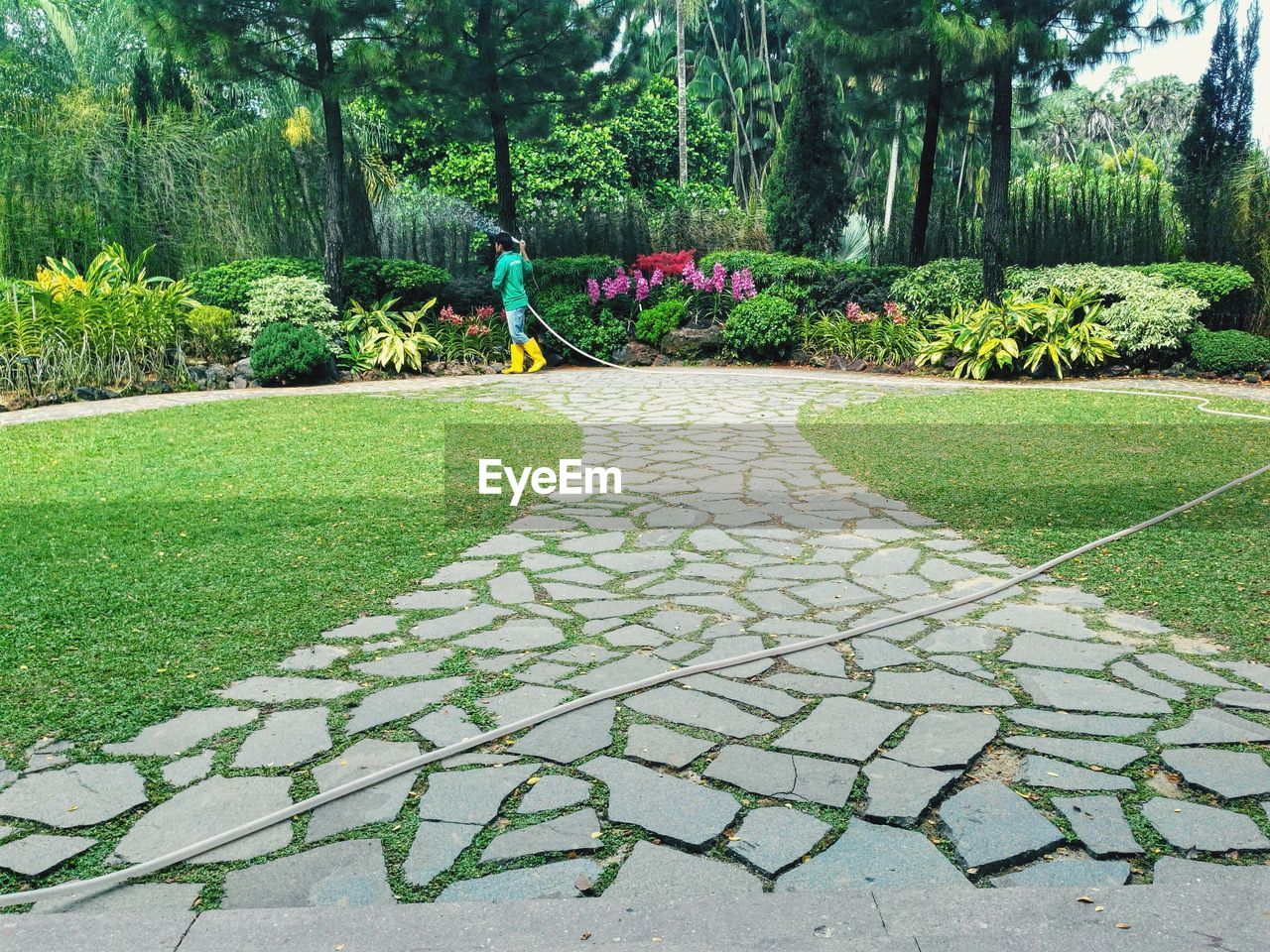 Worker spraying water to plants and trees in garden