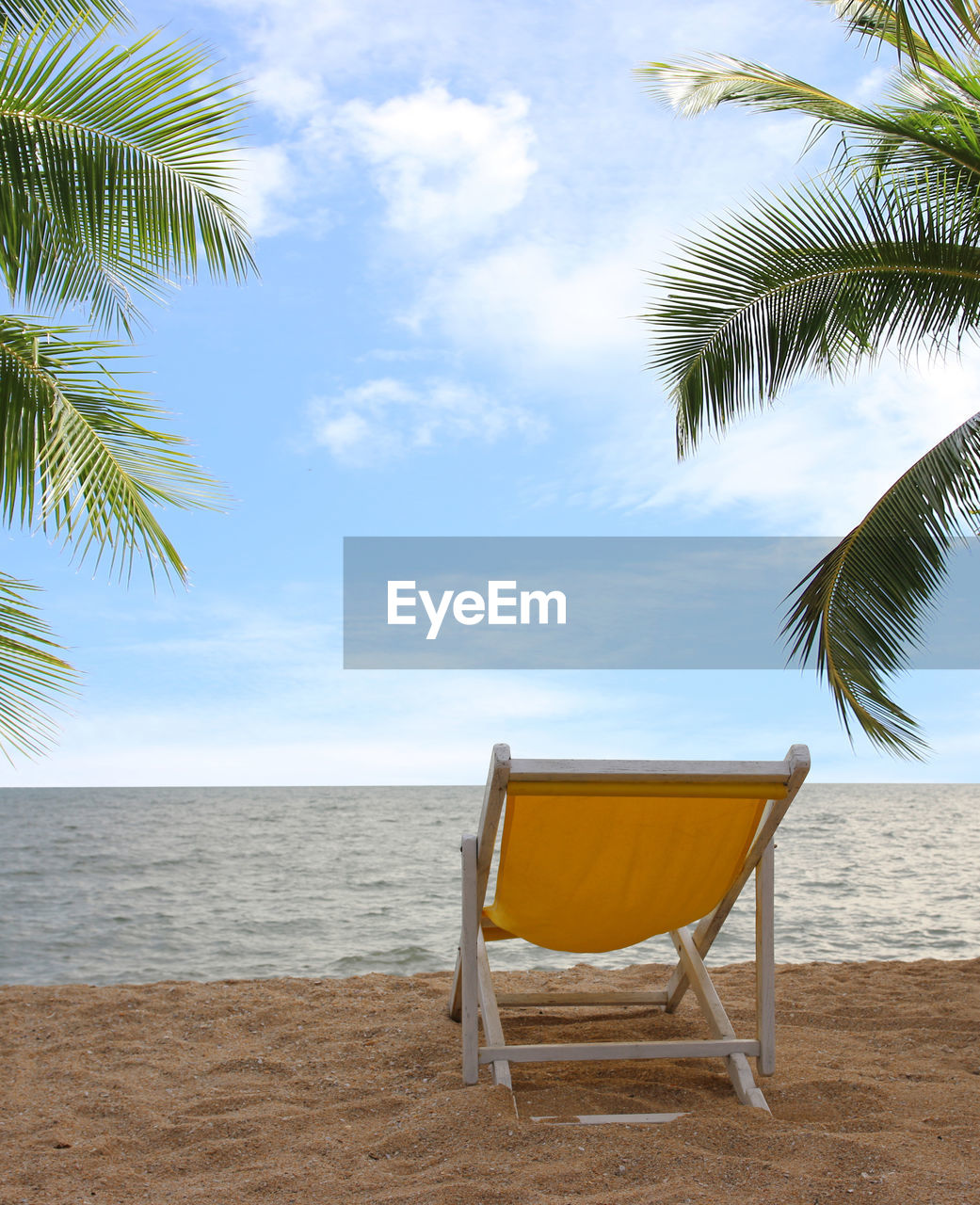 palm trees on beach against sky