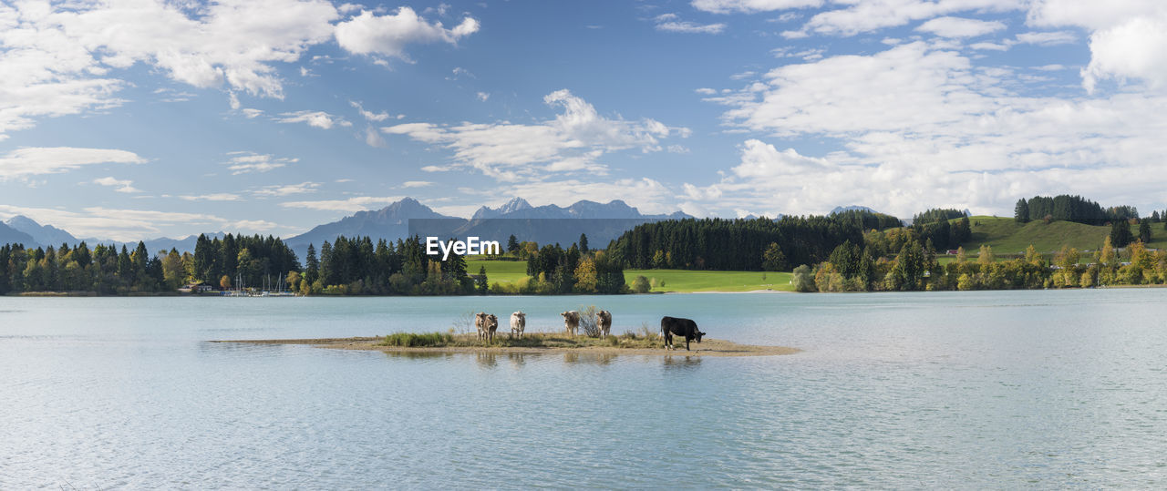 PANORAMIC VIEW OF PEOPLE ON LAKE AGAINST SKY