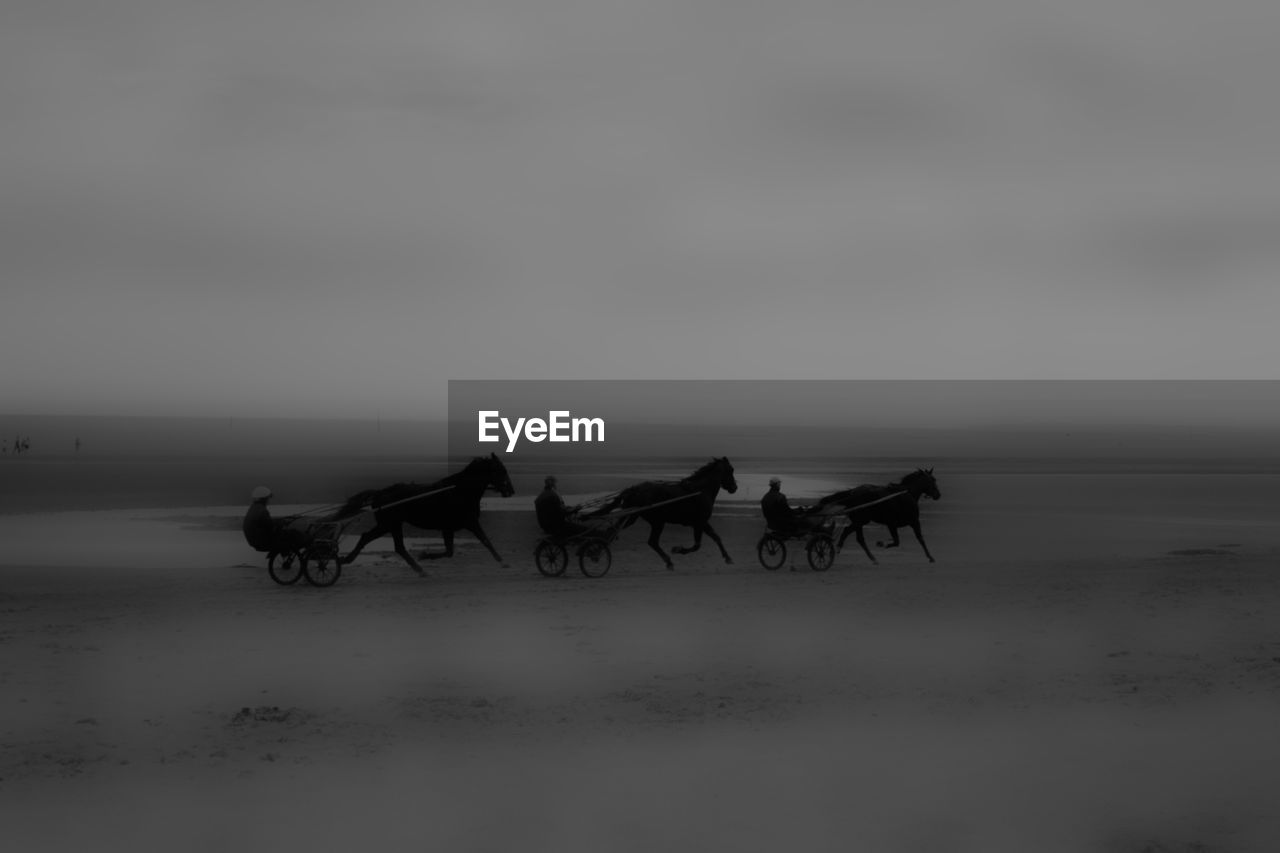 Horse carts on beach against sky