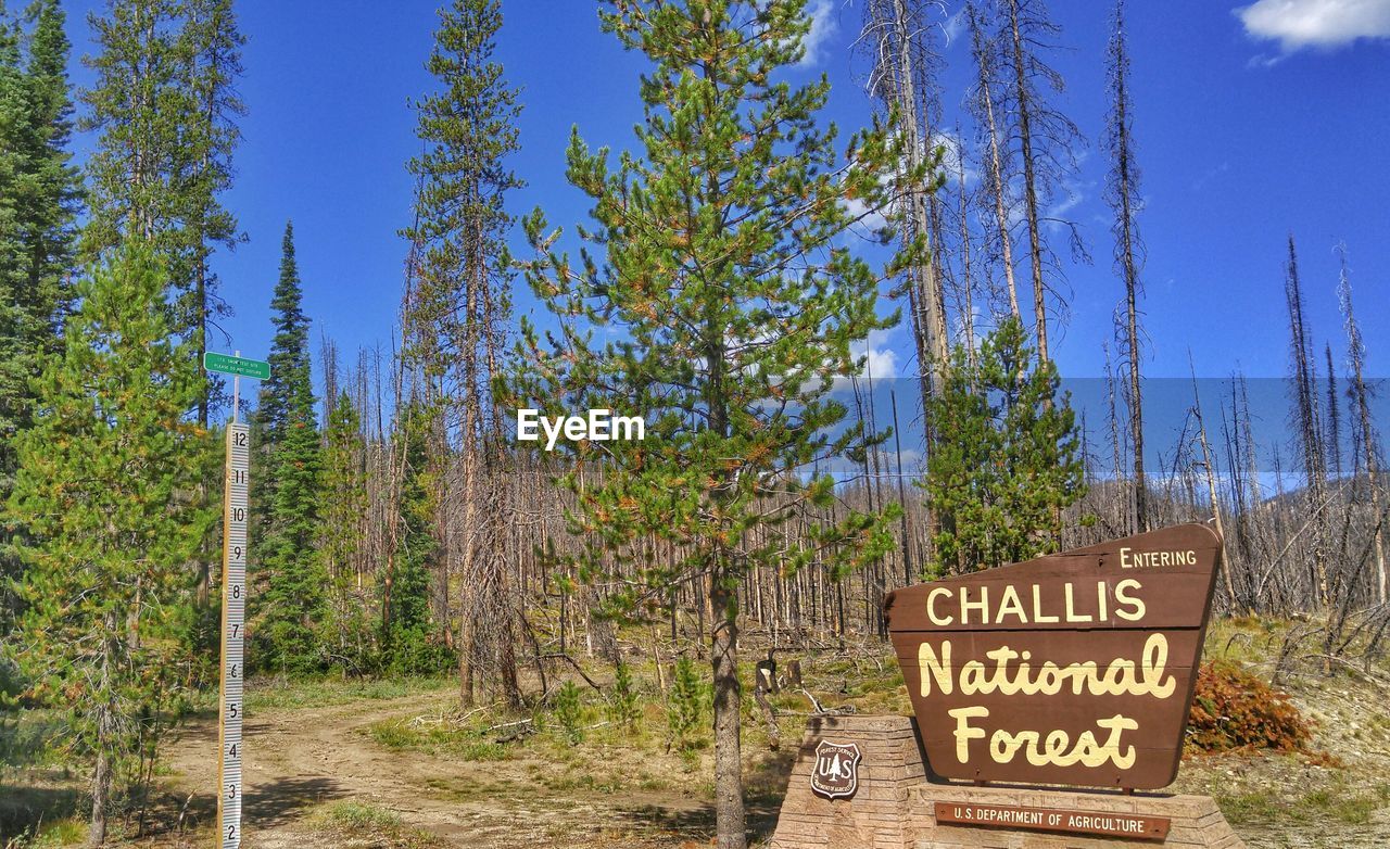 Information sign on field at forest