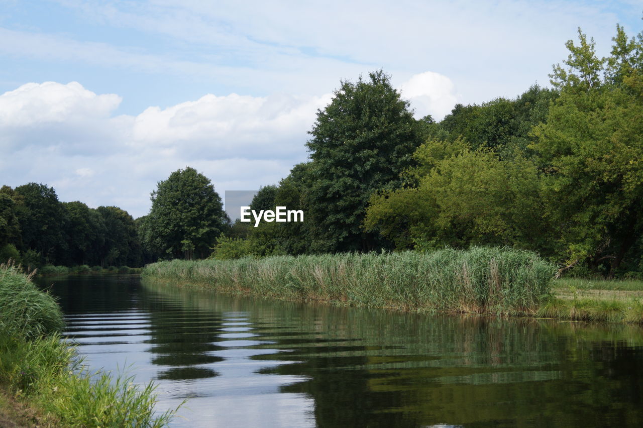 Scenic view of lake by trees against sky