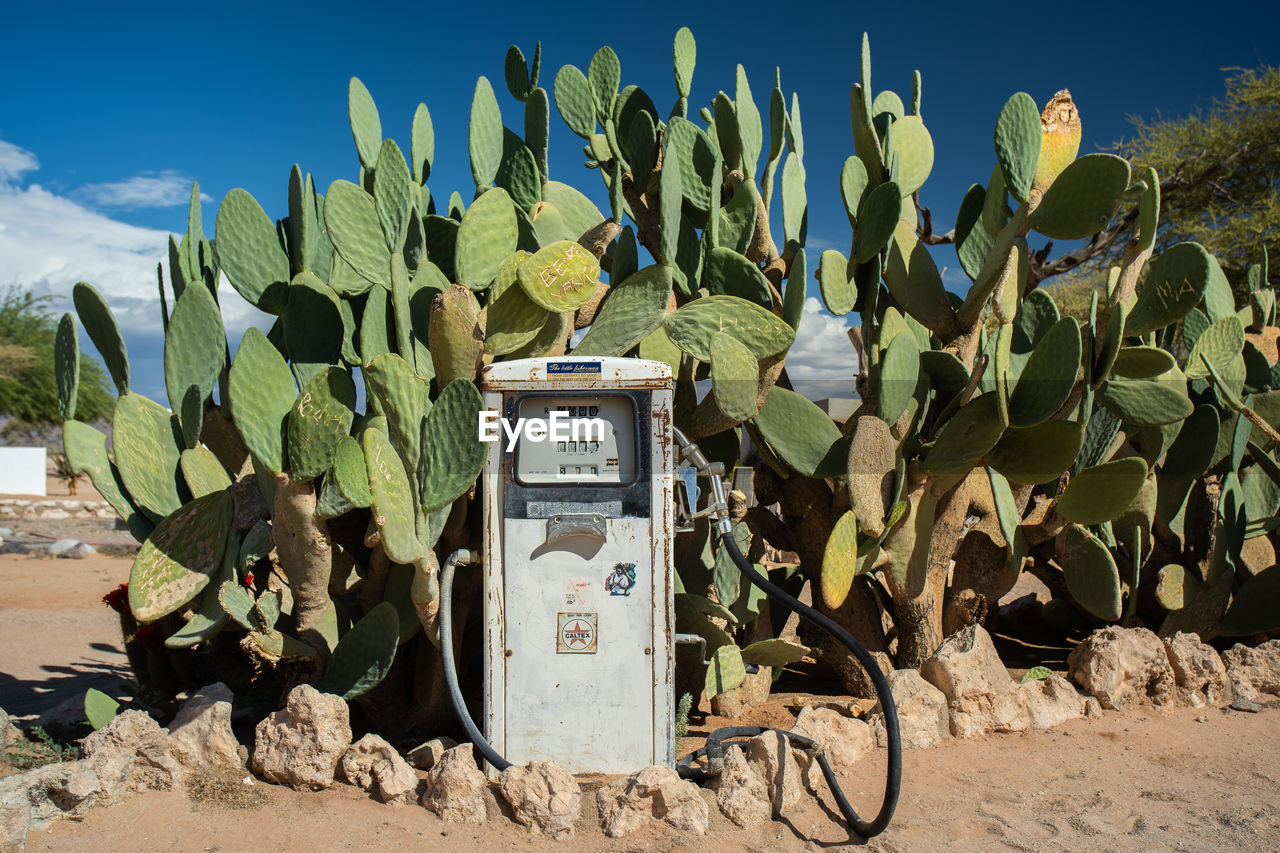 Fuel pump against succulent plants growing on field against sky