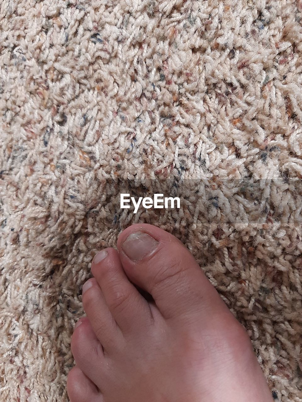 one person, hand, flooring, close-up, high angle view, crop, indoors, nature, human foot, rug, day, lifestyles, nail, barefoot
