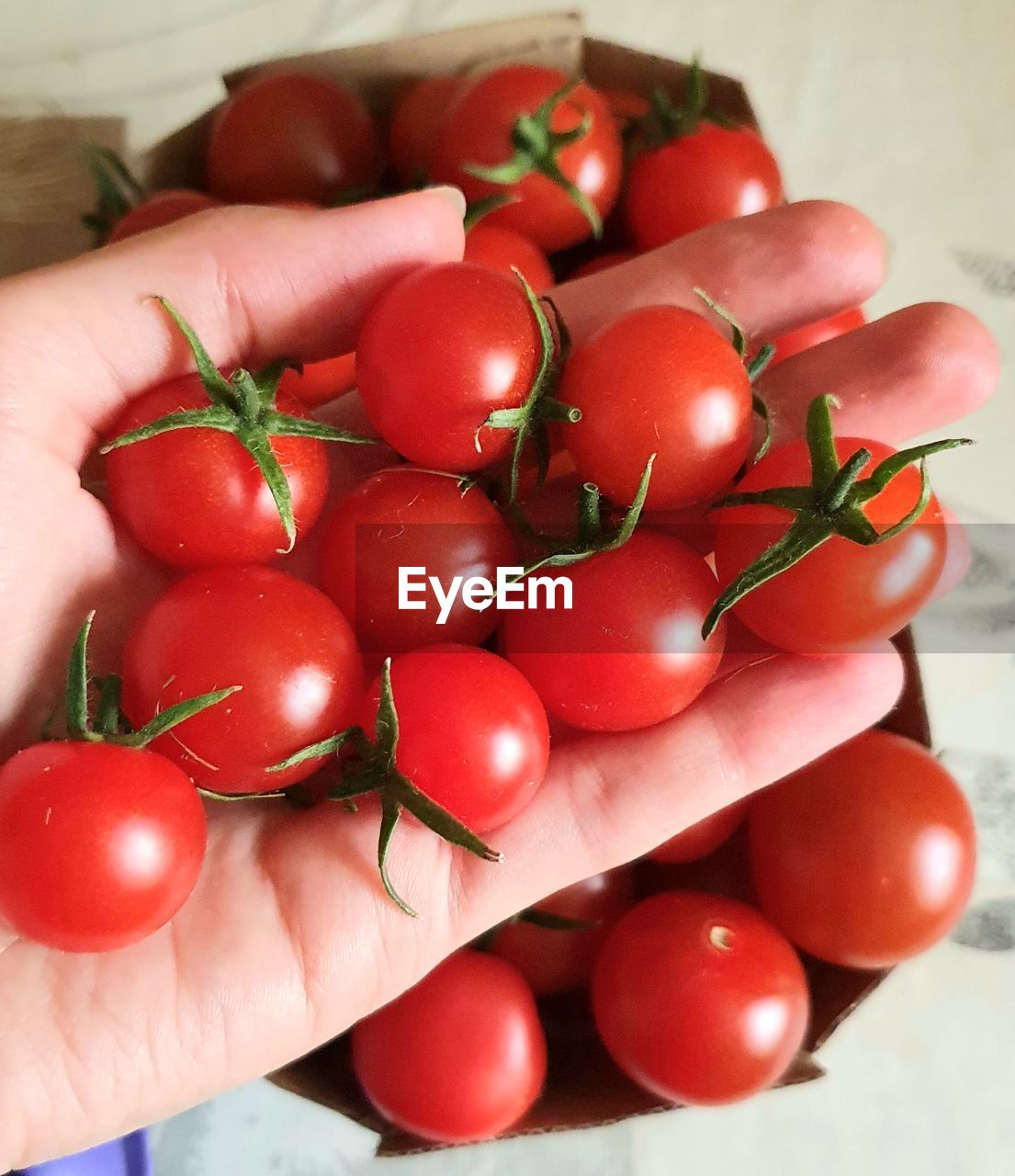 food, tomato, food and drink, hand, red, healthy eating, freshness, fruit, produce, wellbeing, holding, vegetable, plant, one person, plum tomato, close-up, indoors, lifestyles, finger, large group of objects, organic, cherry tomato, juicy, high angle view, adult, nature