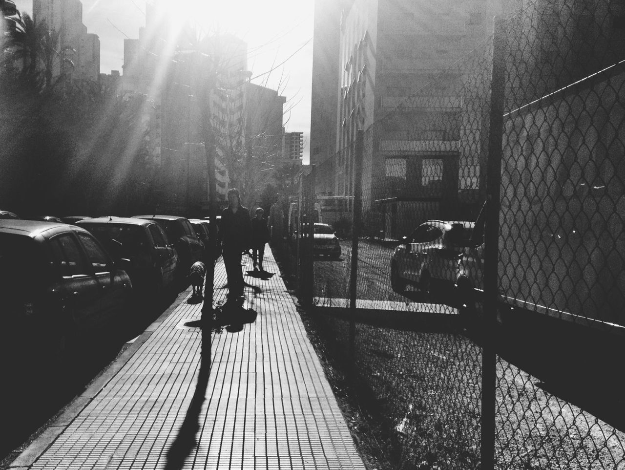 Man walking on sidewalk with dog by fence in city