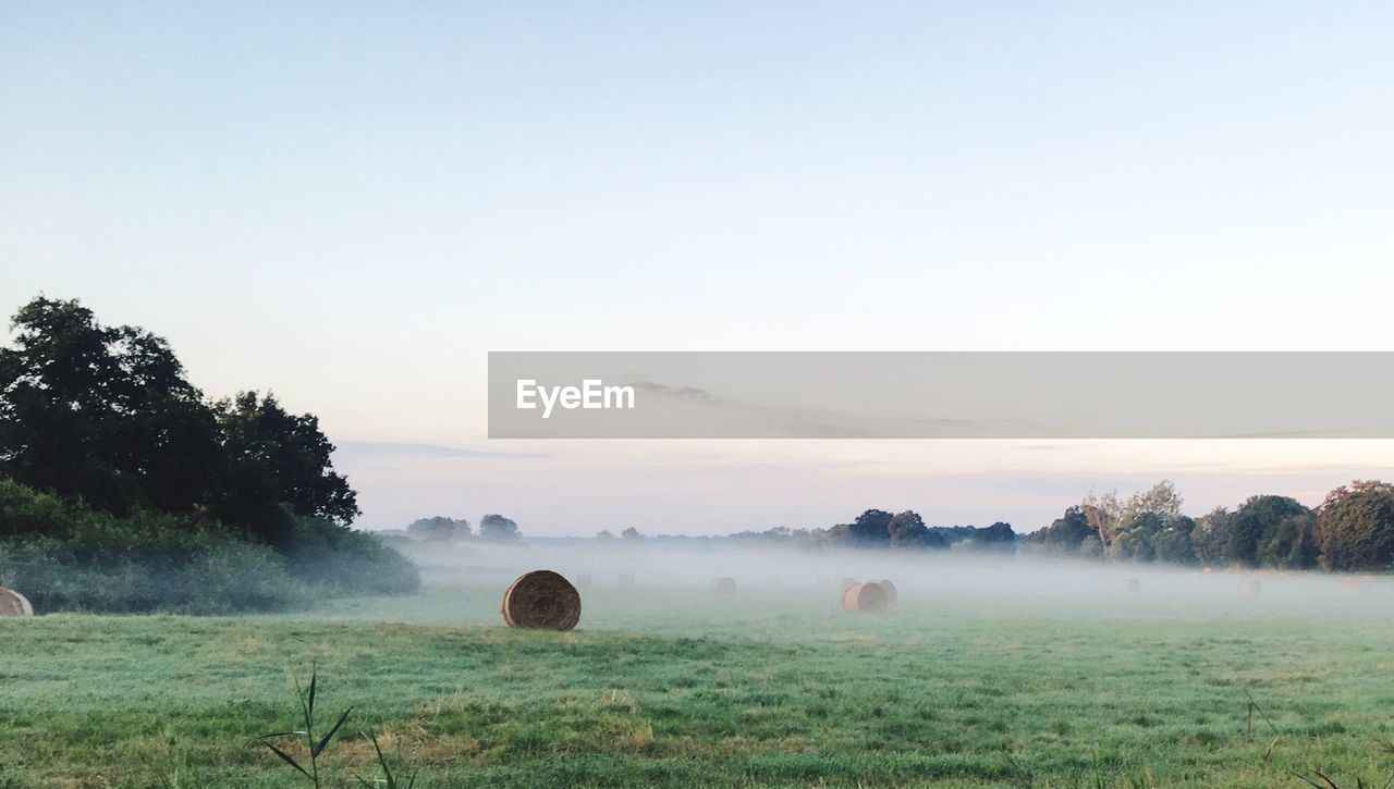 Hay bales on field against sky