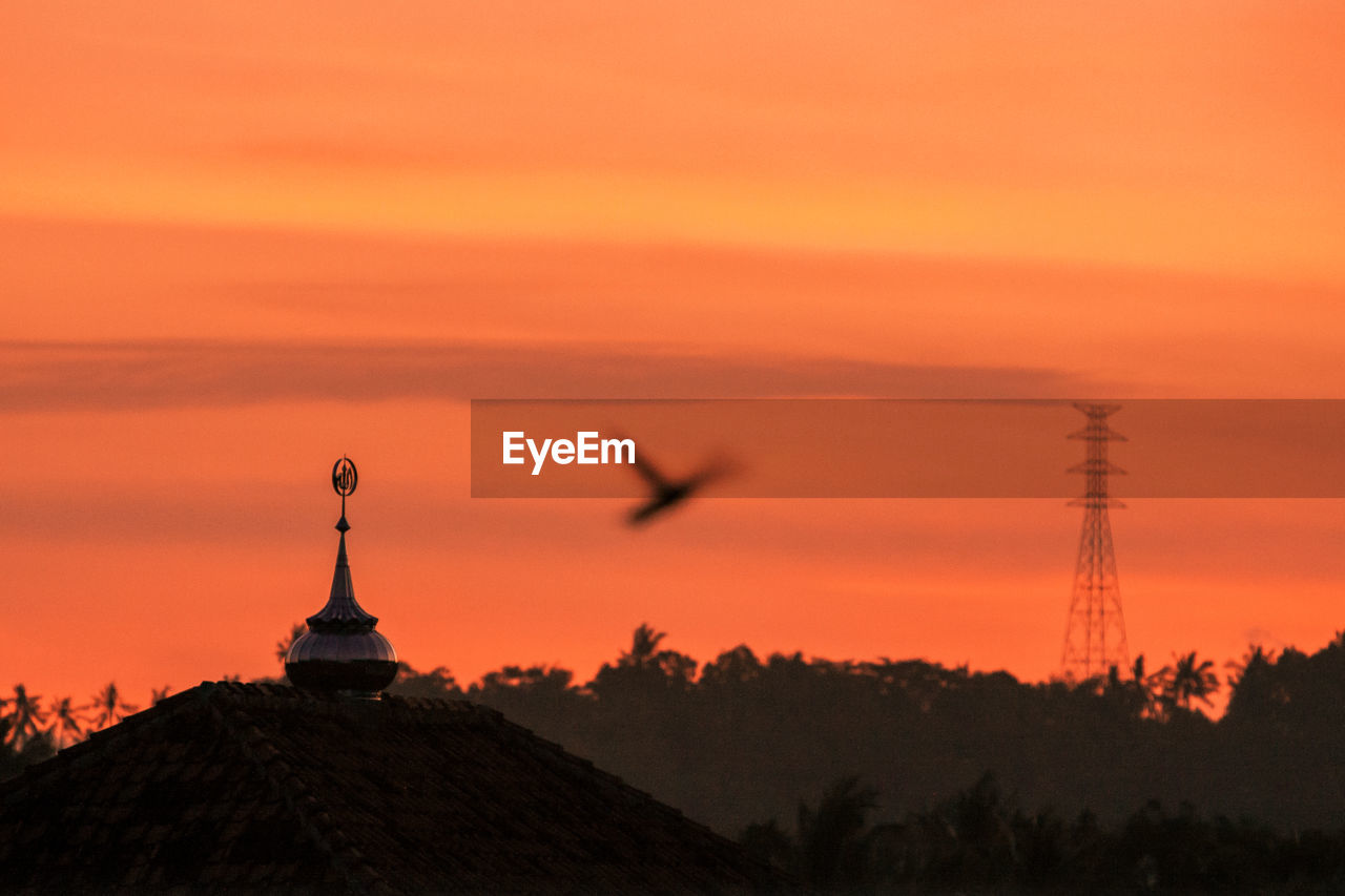 SILHOUETTE OF BIRD FLYING OVER ORANGE SUNSET SKY