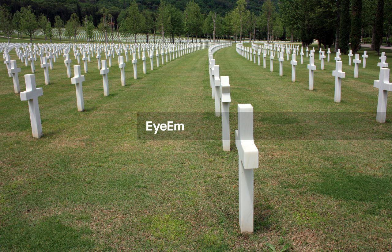 ROW OF CROSS ON GRASS