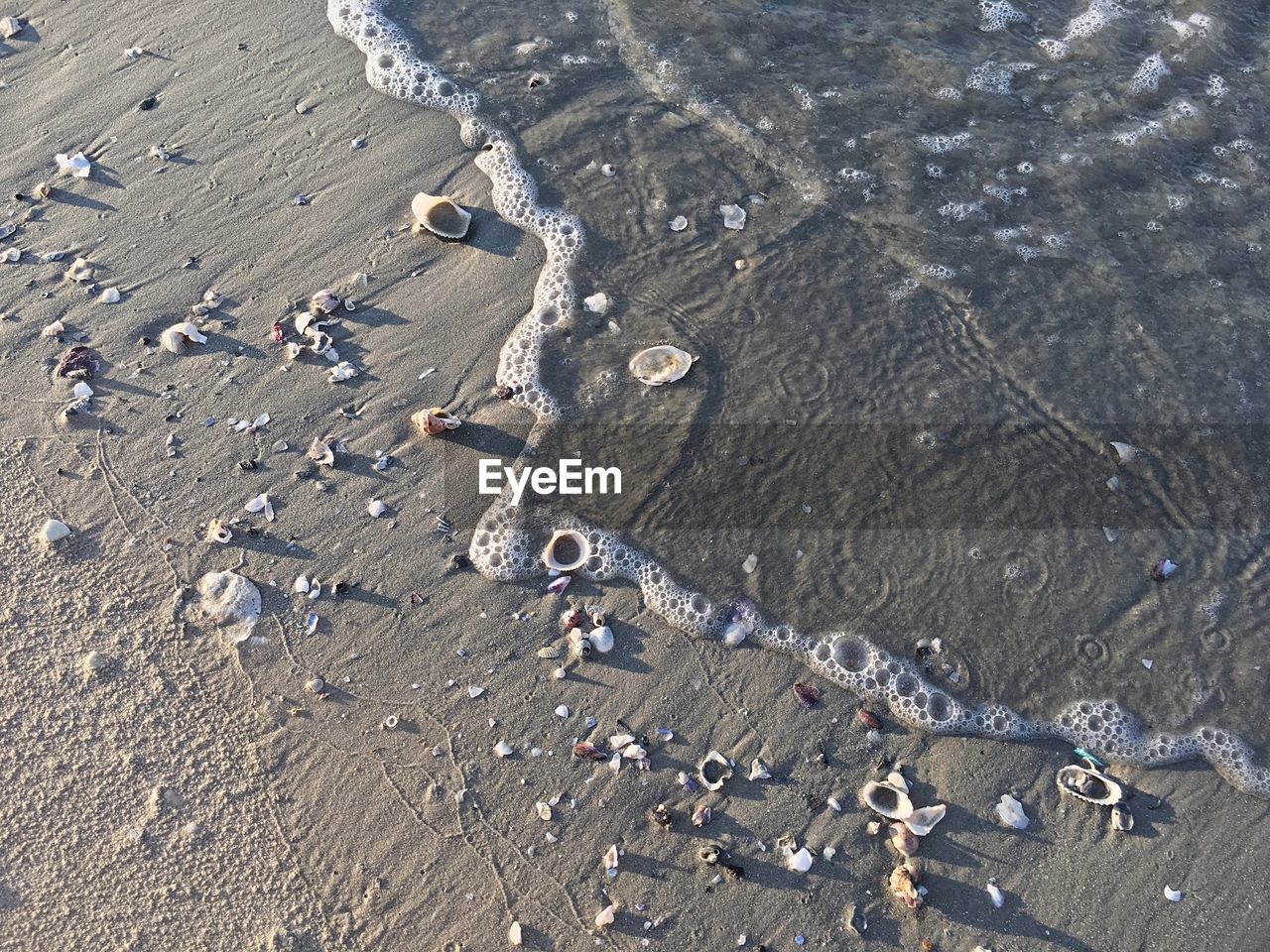 HIGH ANGLE VIEW OF WATER ON SHORE