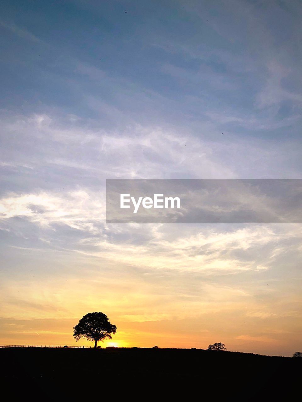 SILHOUETTE TREES ON FIELD AGAINST ORANGE SKY