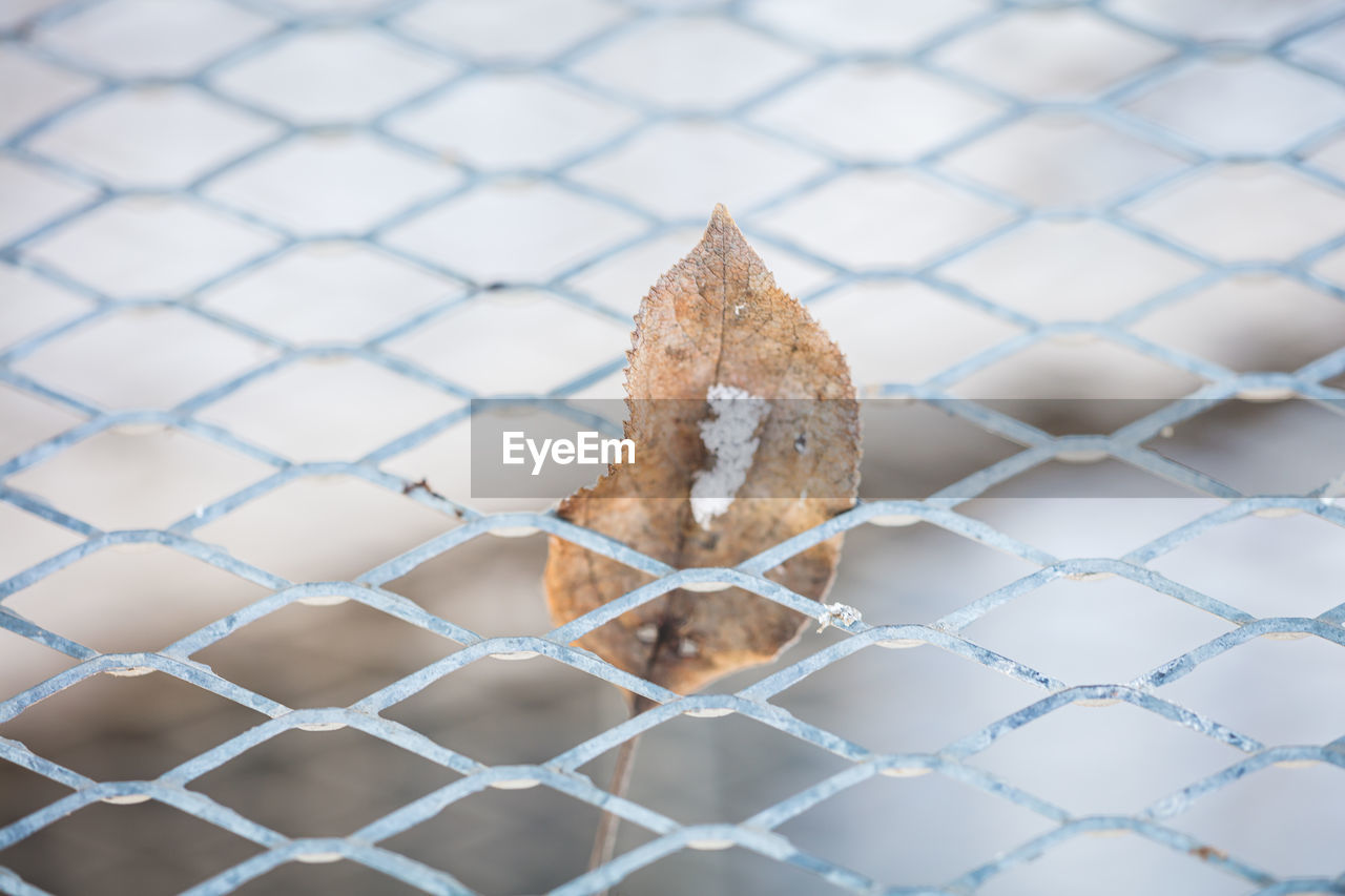 CLOSE-UP OF CHAINLINK FENCE AGAINST METAL