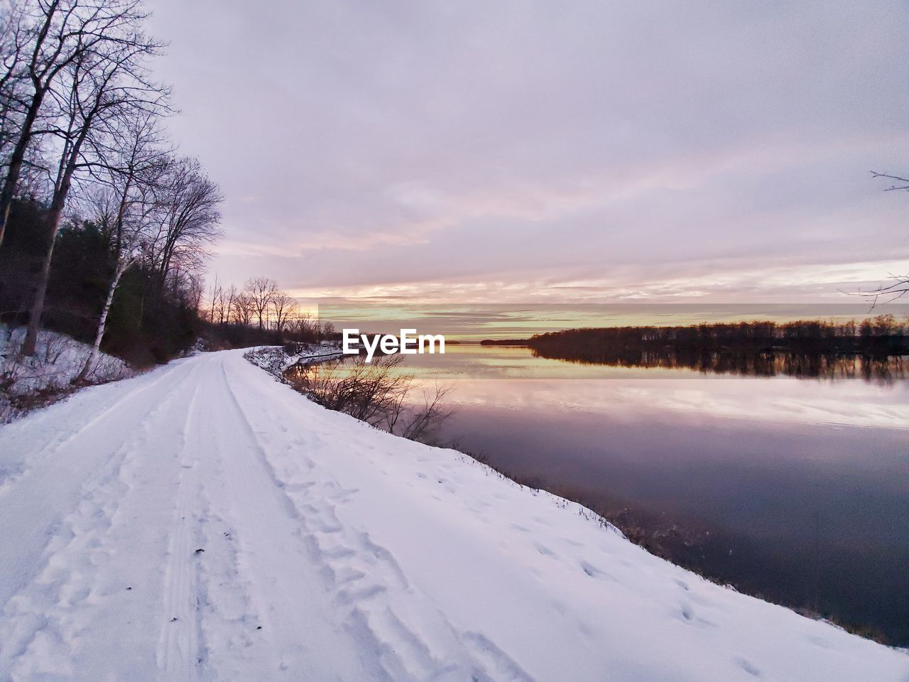 SNOW COVERED PLANTS BY TREES AGAINST SKY DURING SUNSET