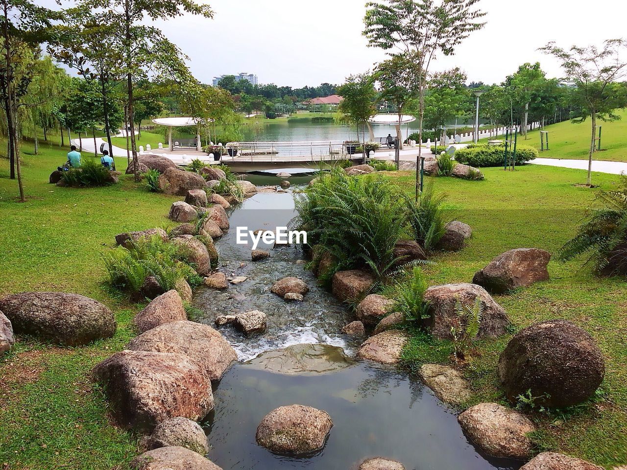 VIEW OF POND IN PARK