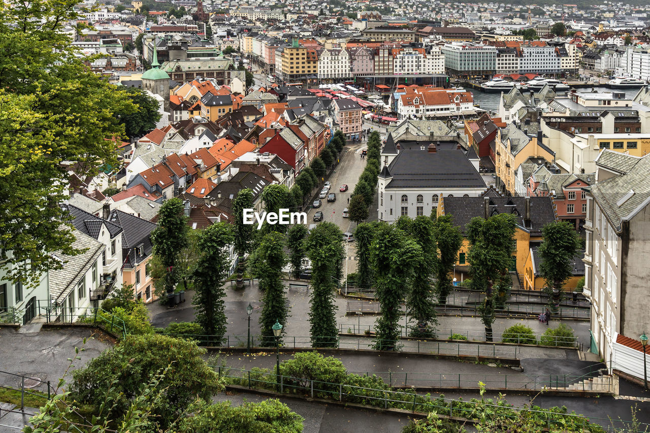 High angle view of trees and buildings in city