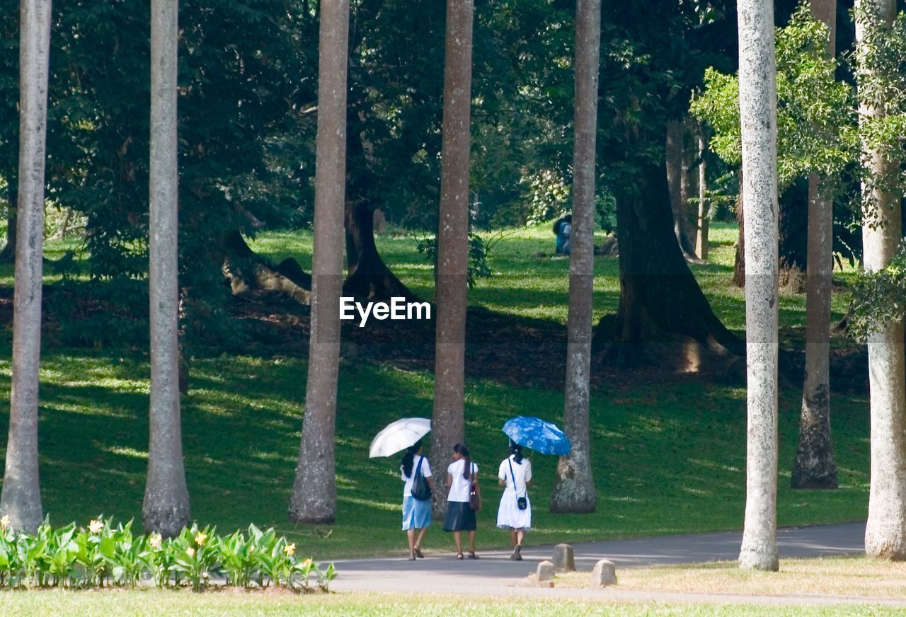 GROUP OF PEOPLE WALKING ON GROUND