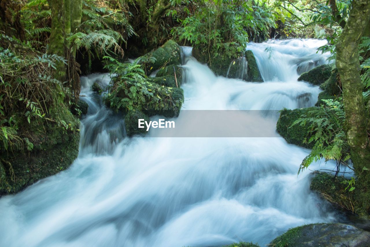 WATERFALL IN FOREST