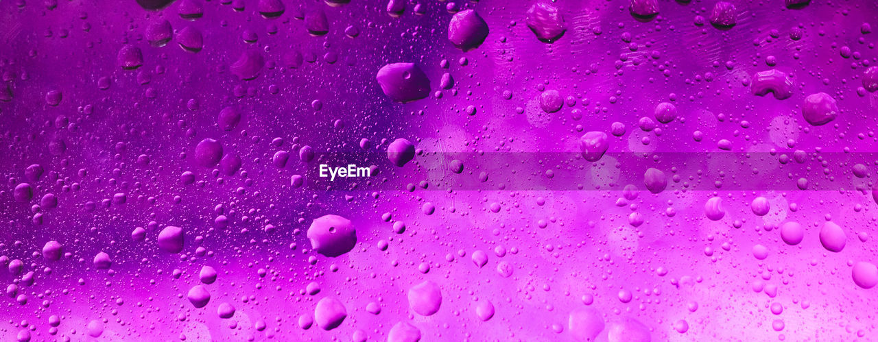 CLOSE-UP OF WATER DROPS ON PINK