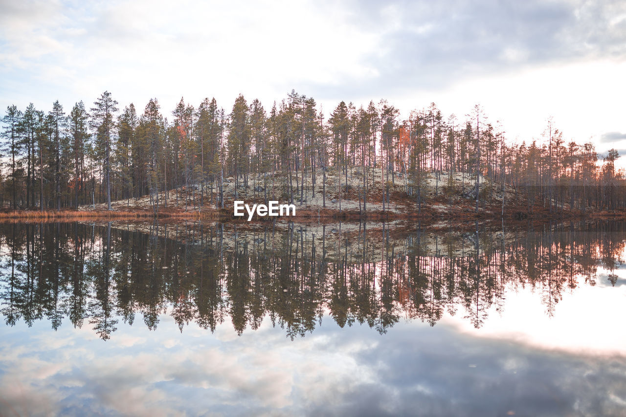 Reflection of trees in lake against sky