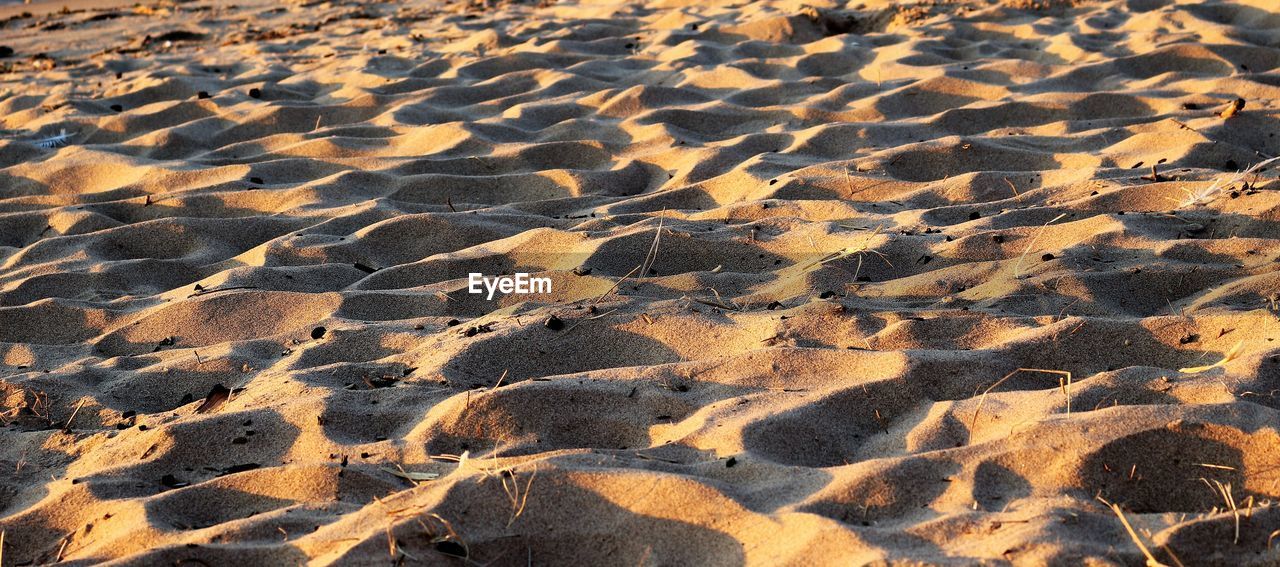 FULL FRAME SHOT OF SAND DUNES