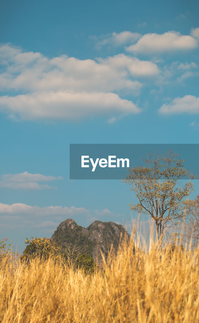 SCENIC VIEW OF LAND AGAINST SKY