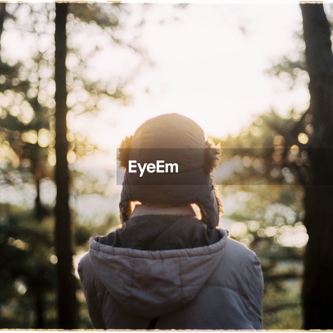 Rear view of woman in forest during winter