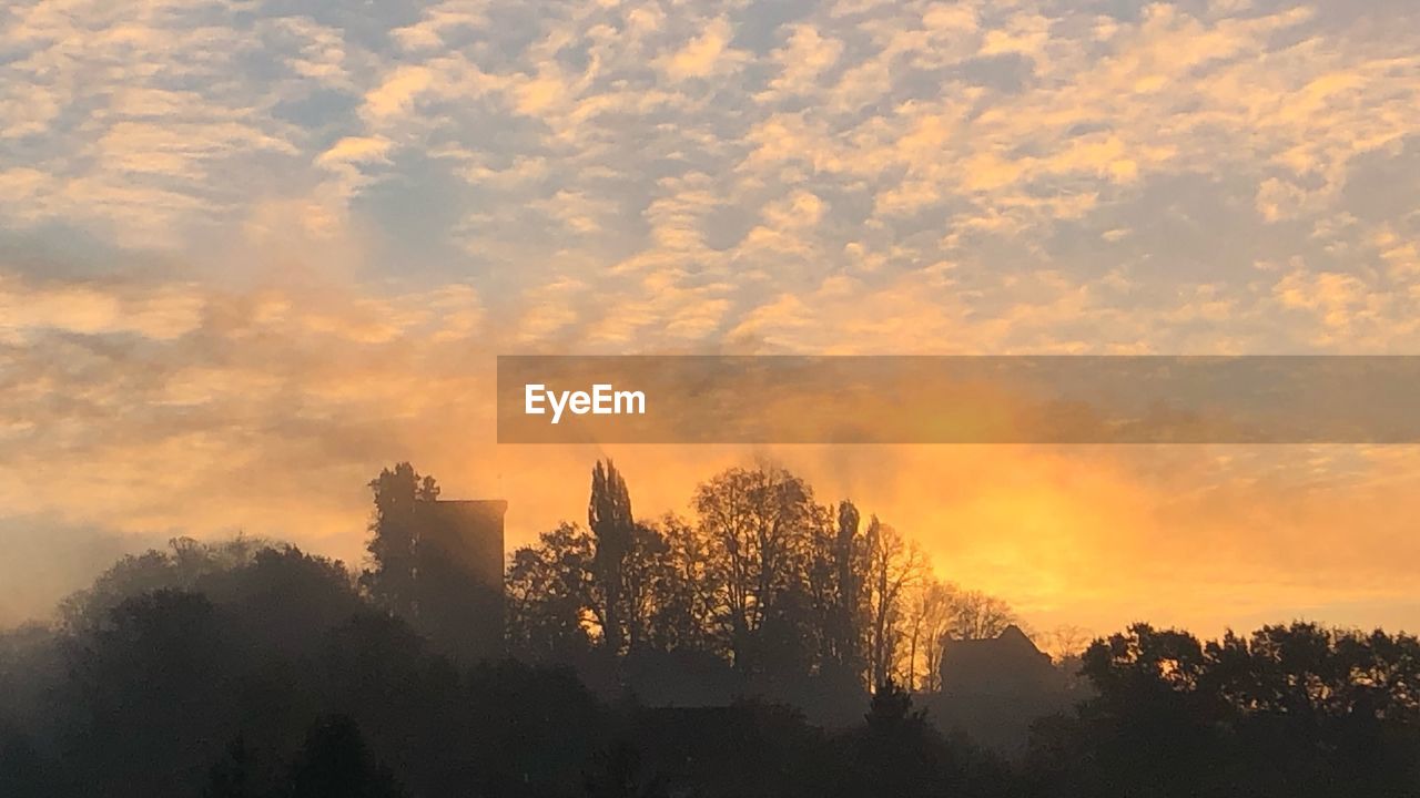 SILHOUETTE TREES AGAINST ORANGE SKY