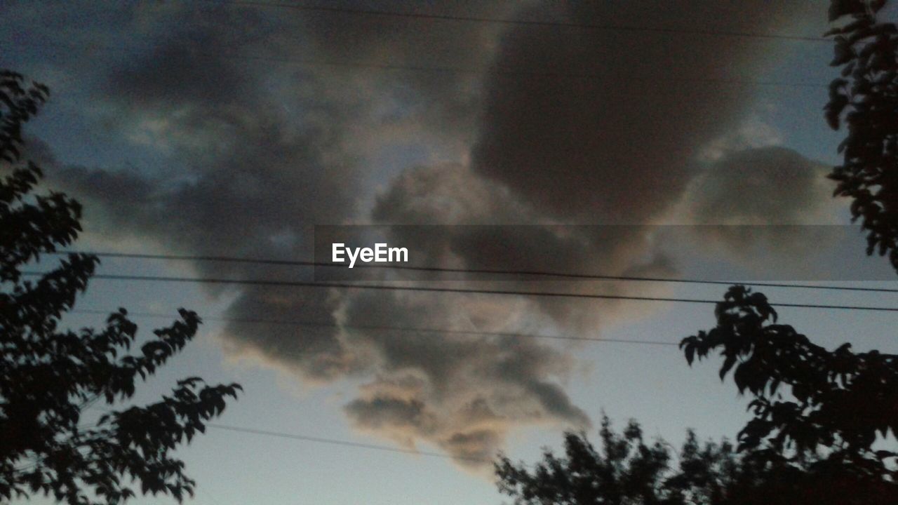 LOW ANGLE VIEW OF TREES AGAINST CLOUDY SKY