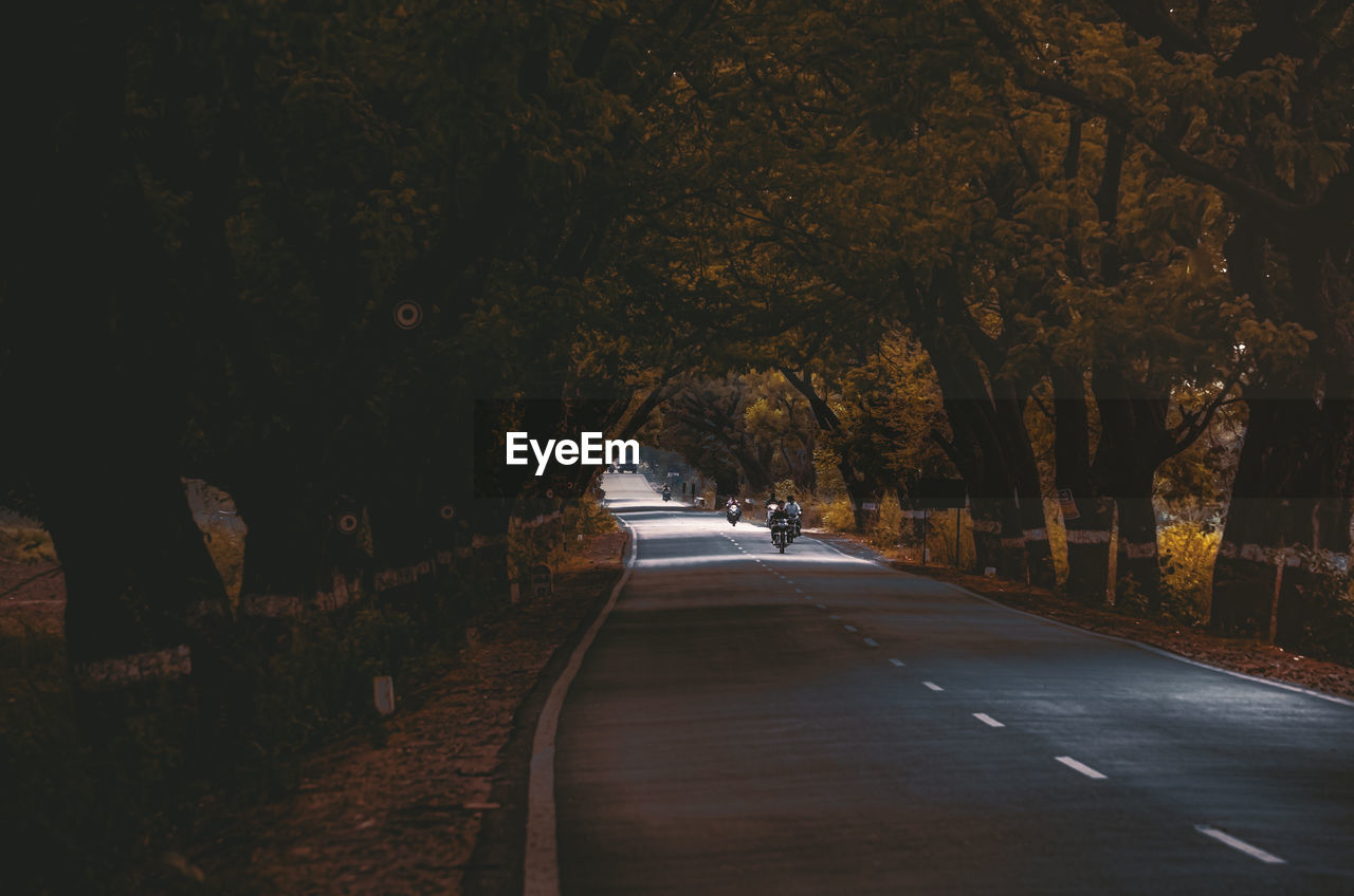 VIEW OF ROAD AMIDST TREES