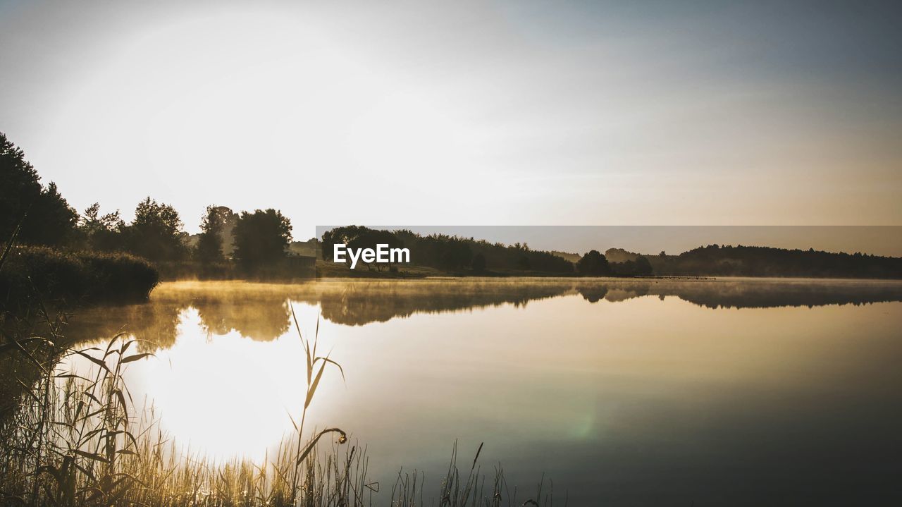 SCENIC VIEW OF LAKE BY TREES AGAINST SKY