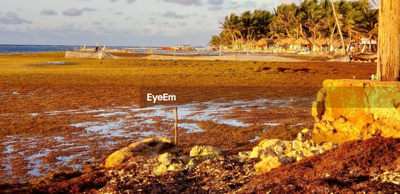 SCENIC VIEW OF BEACH