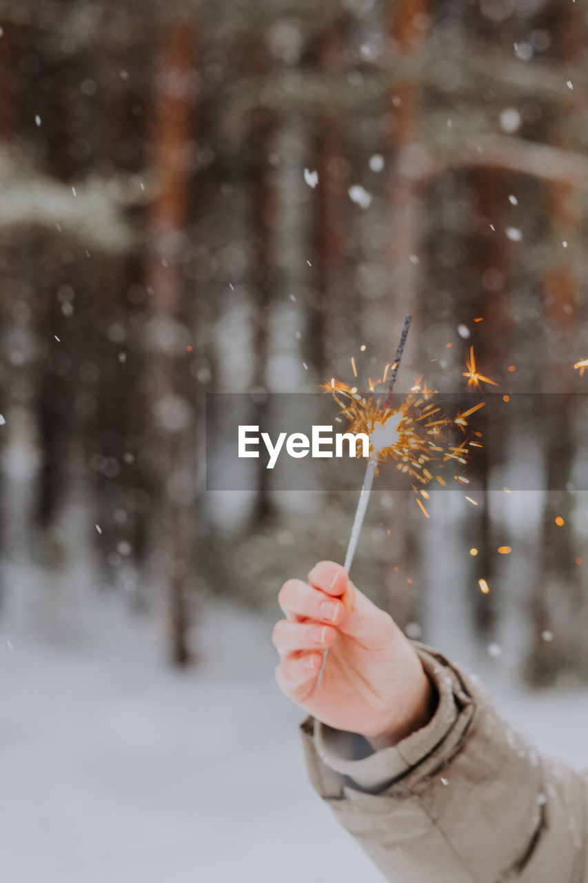 Hand holds a sparkler on the background of a winter forest, during a snowfall. 