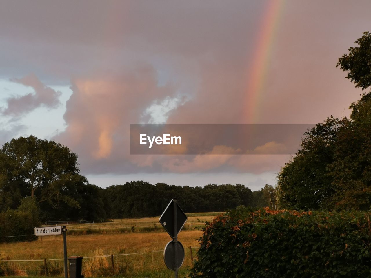 Scenic view of rainbow over trees on field against sky