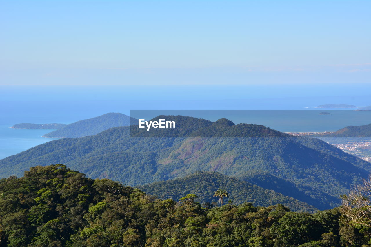 SCENIC VIEW OF TREES AND MOUNTAINS AGAINST SKY