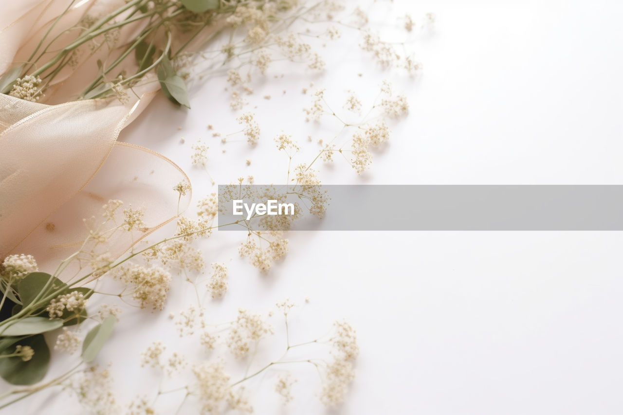 high angle view of white flowers