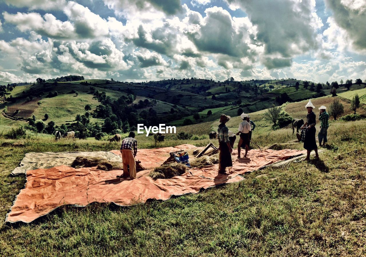 Farmers working on grassy hill