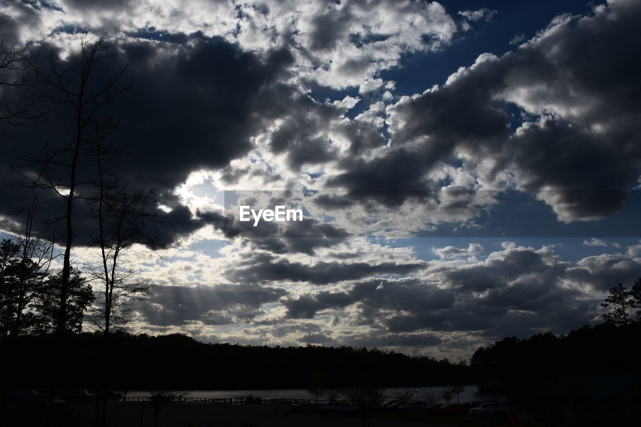 SILHOUETTE OF TREES AGAINST CLOUDY SKY