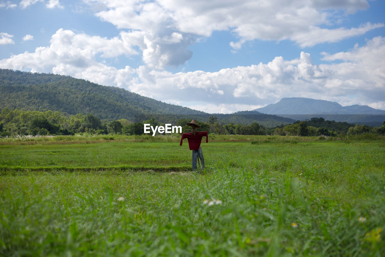 Scarecrow on field against sky