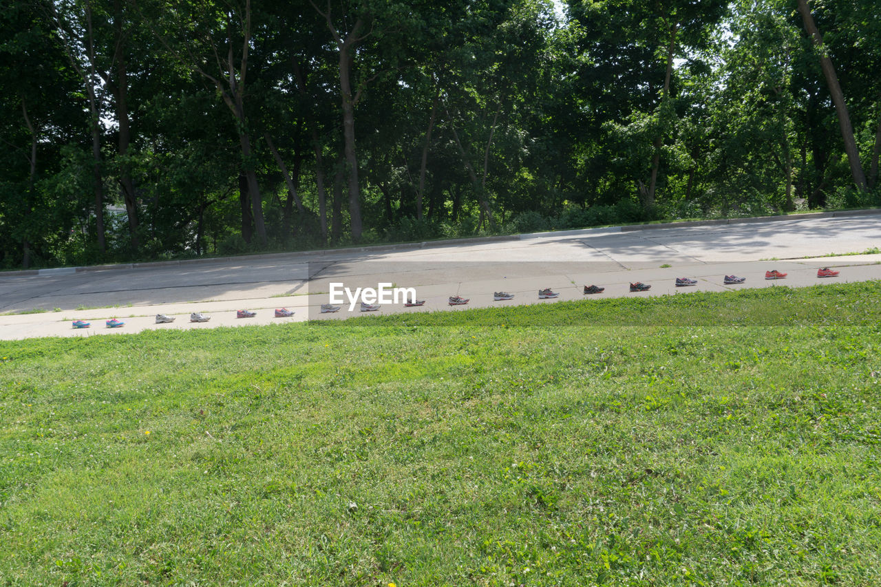 SCENIC VIEW OF GRASS AND ROAD