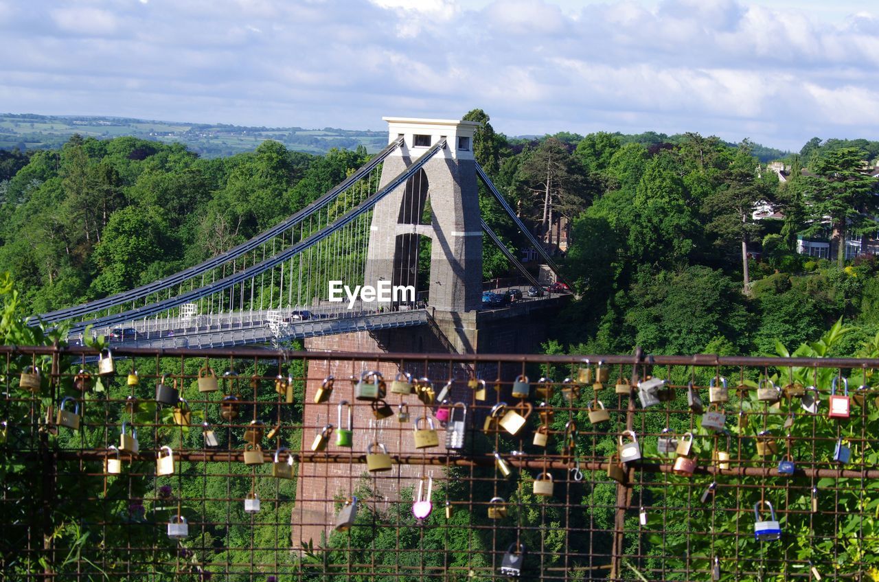 Trees by bridge against sky